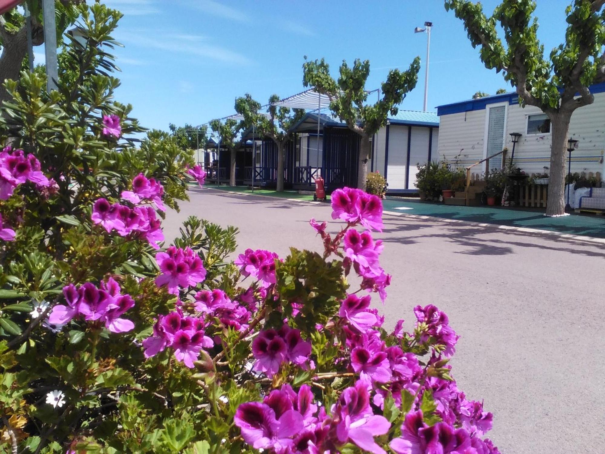Camping Y Bungalows Monmar Moncófar Δωμάτιο φωτογραφία