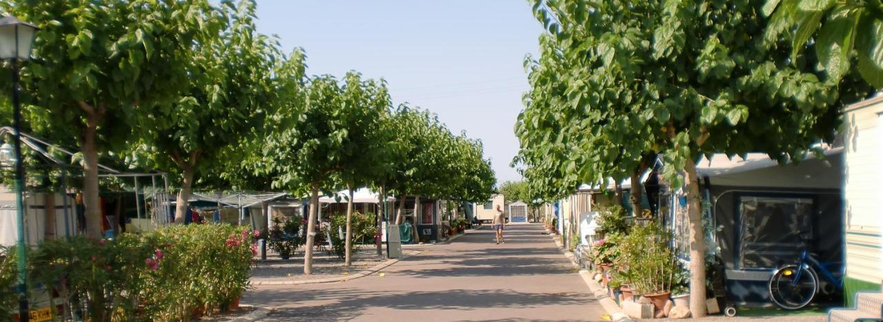 Camping Y Bungalows Monmar Moncófar Εξωτερικό φωτογραφία